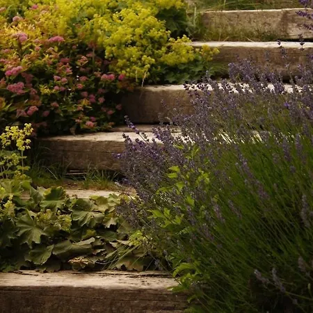 Διαμέρισμα Lisa - Lisa - 3 Bedroom Schladming