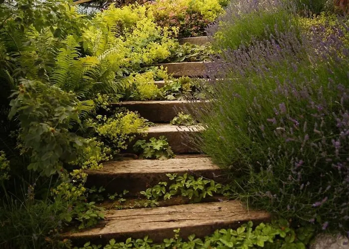 Lisa - Lisa - 3 Bedroom Schladming