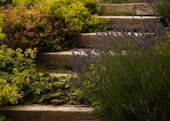 Apartment Lisa - Lisa - 3 Bedroom Schladming